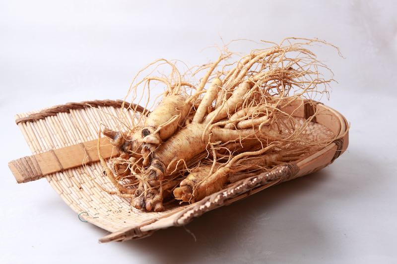 ginseng bitkisi
