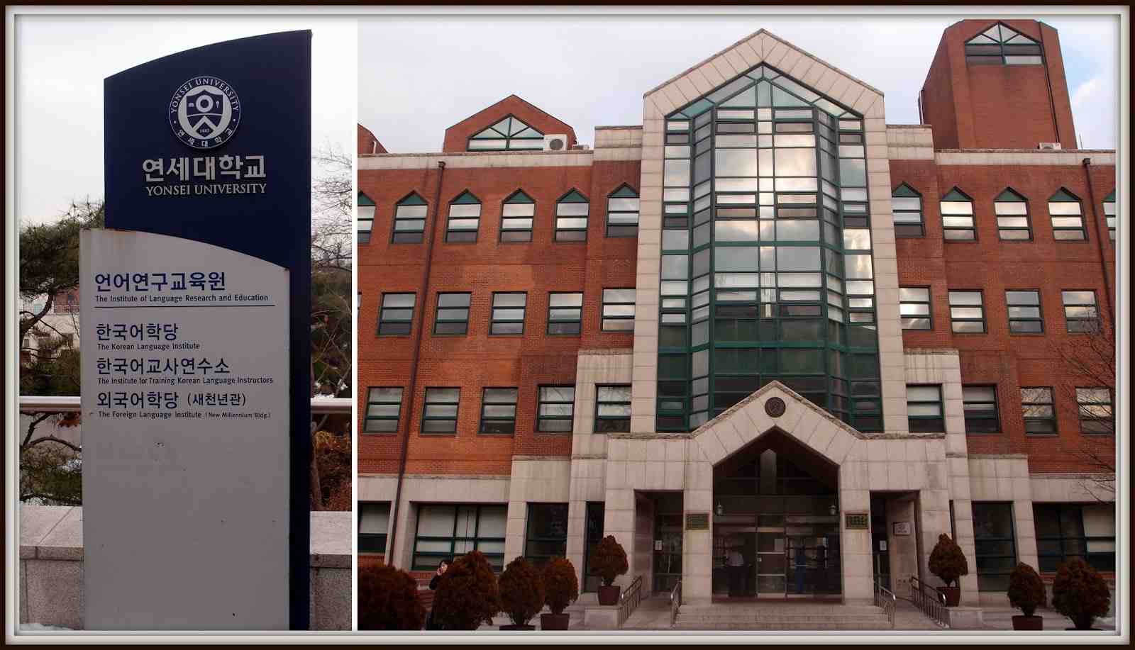 koredeuniversitehayati