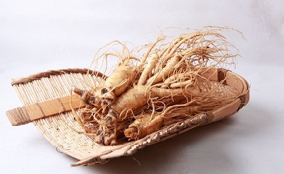 Ginseng bitkisi